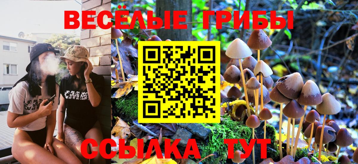 Кудрово  Галлюциногенные грибы мухоморы  Вход с VPN 