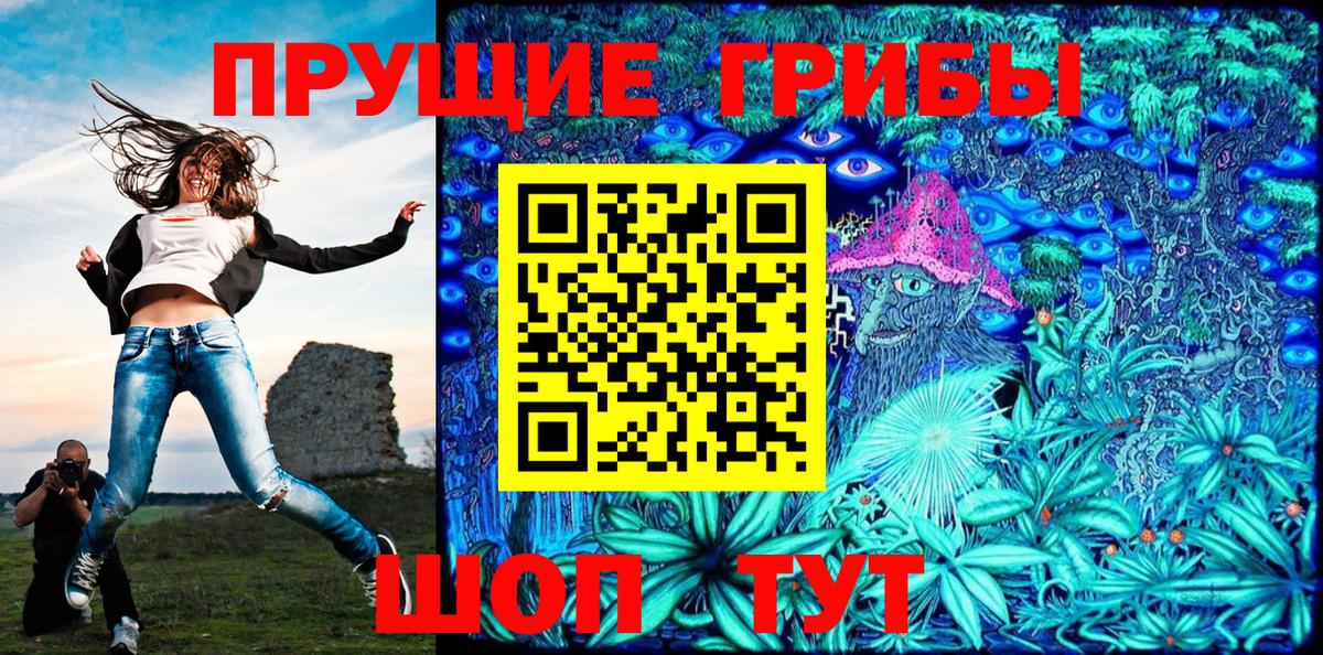 Псилоцибиновые грибы Cubensis Кудрово